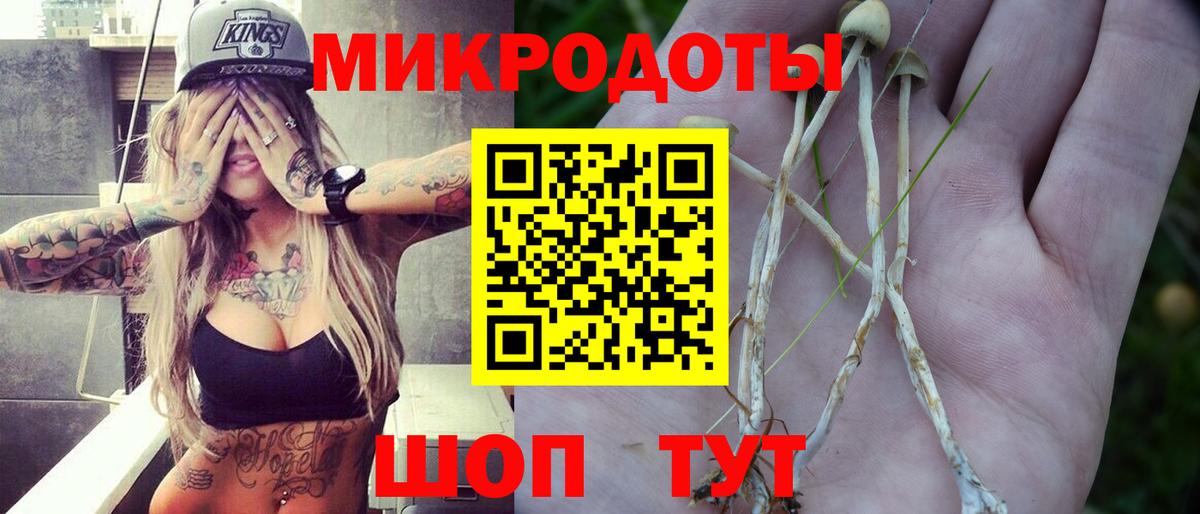 Псилоцибиновые грибы мицелий  Псилоцибиновые грибы ЛСД  Вход с VPN  Саров 